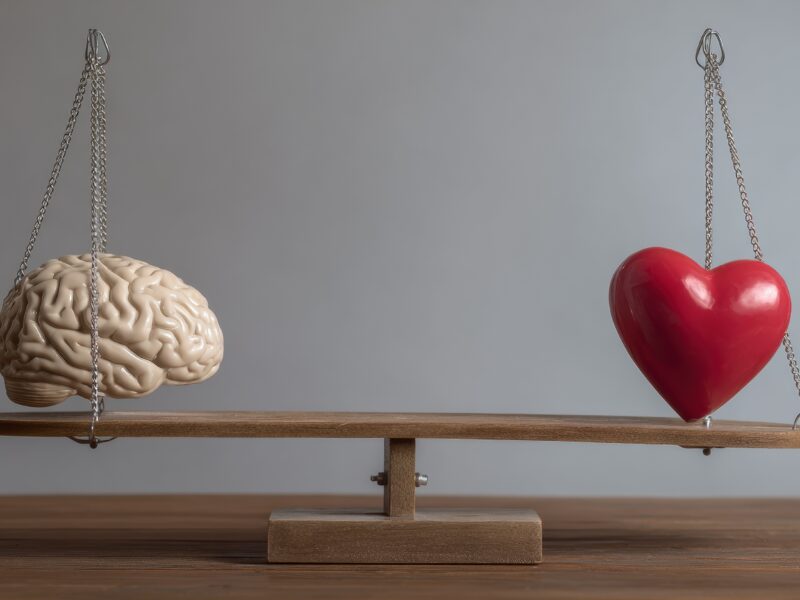 物件探しの心理とタイミング いつ動くの?●●でしょ!