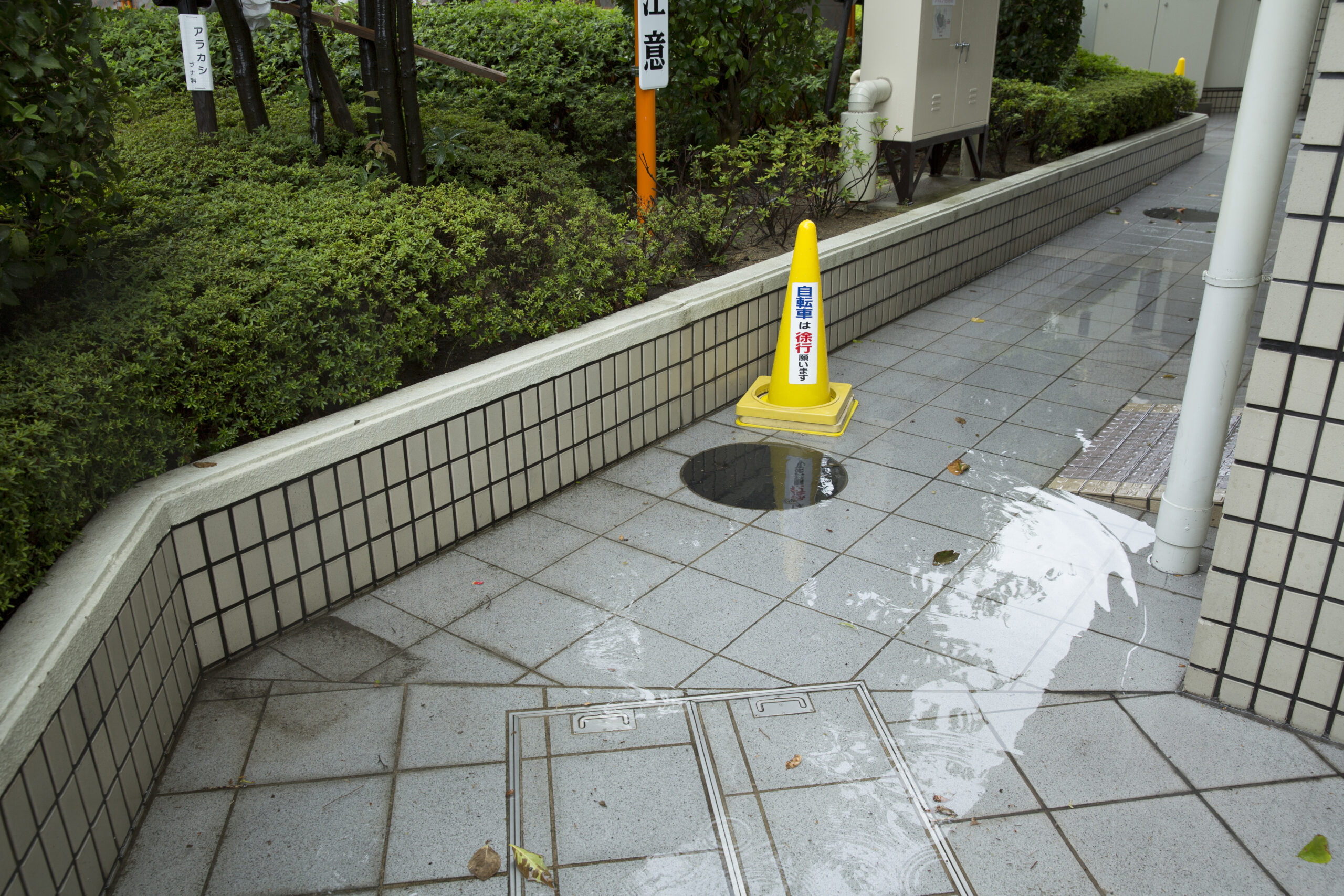 重要事項悦明と一緒にハザードマップ確認してますか?水害について①